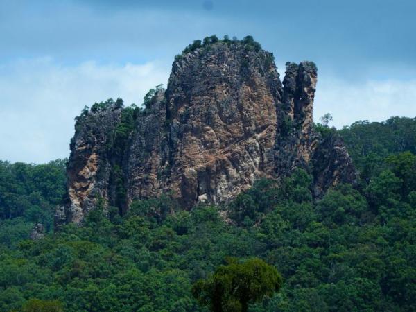 Byron Bay and Northern Rivers Markets: Complete Guide photo