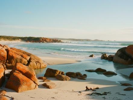 Bay of Fires: Walking Tracks, Beaches, and Coastal Wonders photo