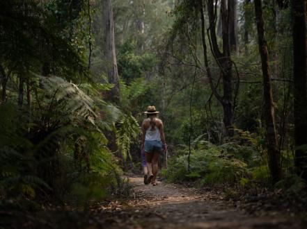Protesters Falls Walk: A Guide to Nightcap National Park photo