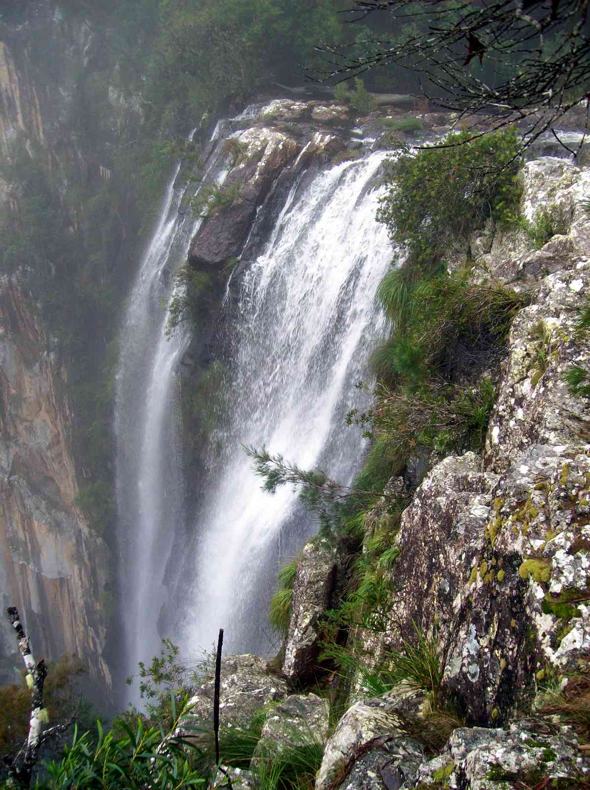Minyon Falls dropping into a rainforest gorge in Nightcap National Park photo_0 Minyon Falls dropping into a rainforest gorge in Nightcap National Park photo_0