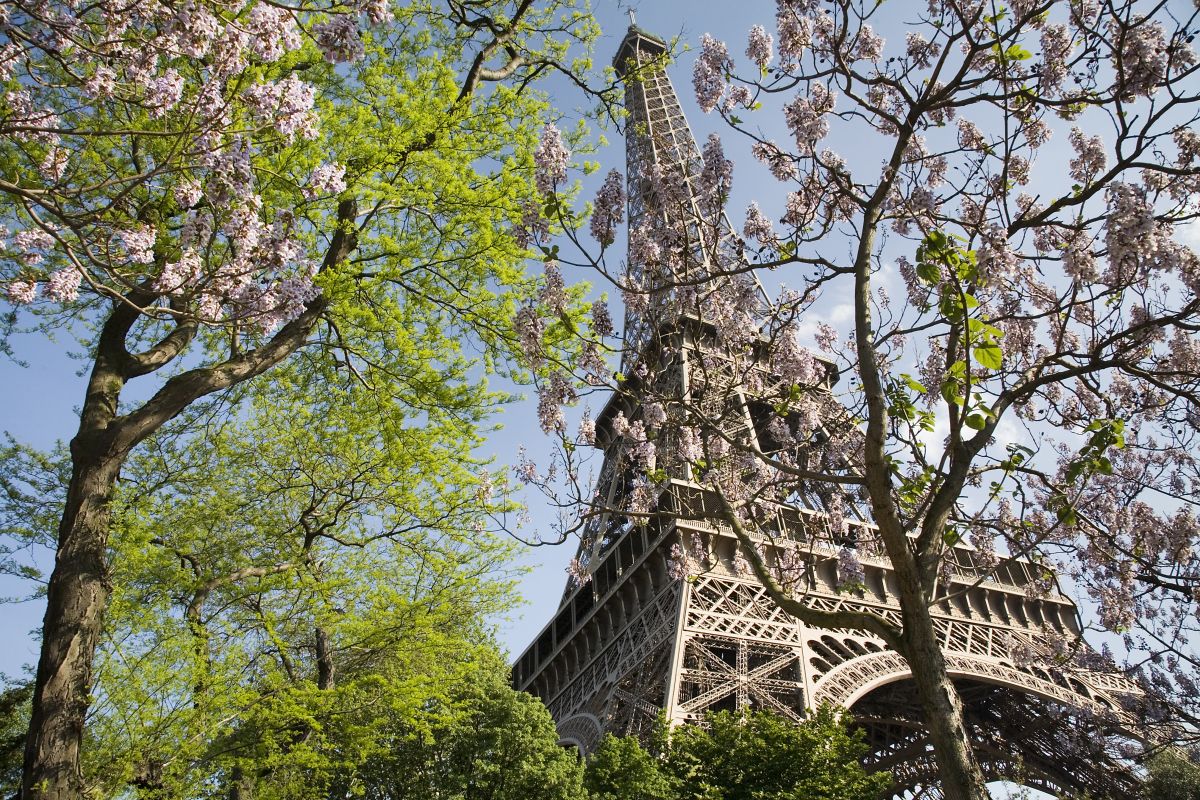 The Eiffel Tower, Paris, in spring photo_0