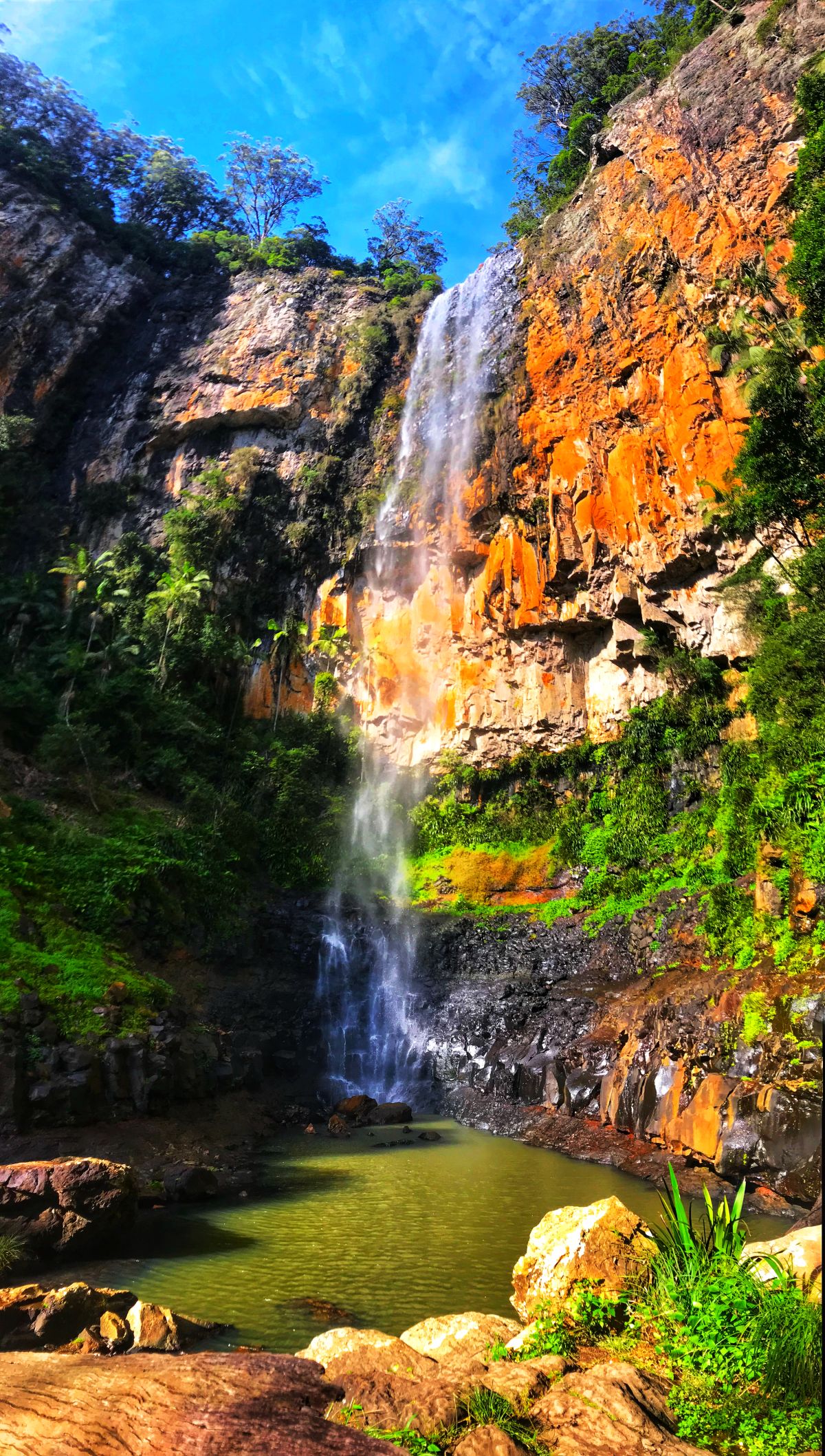 Purling Brook Falls, Springbrook National Park photo_0