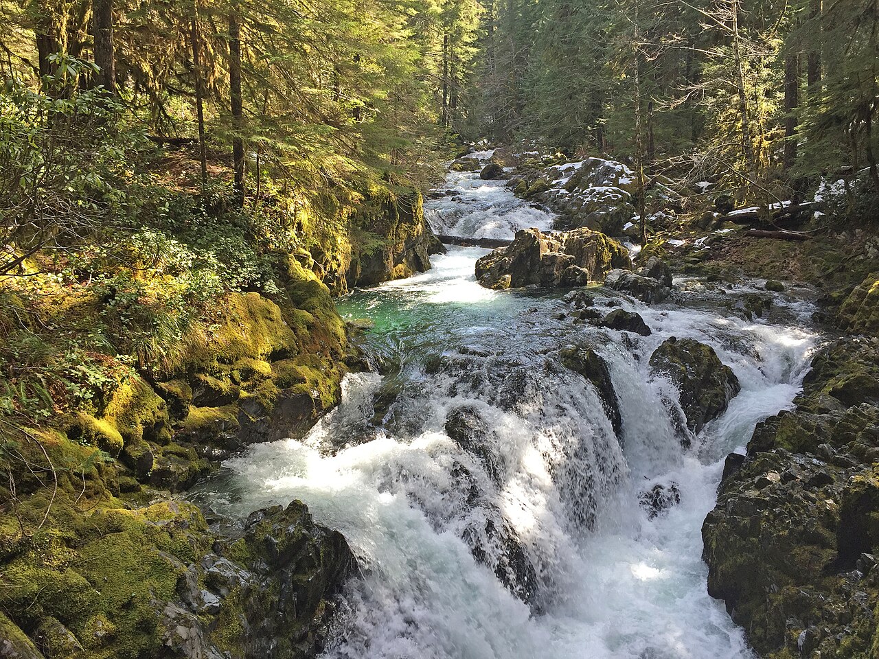 Water rushing over rocks in Opal Creek Rapids inside the Willamette National Forest in Oregon photo_0